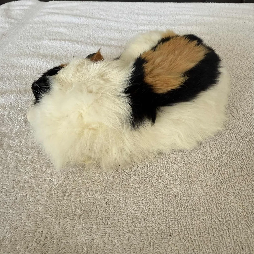 Cat Toy One Size White Black Calico Sleeping Cat